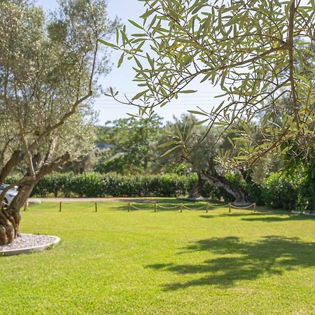 Elaia - Apartments & Studios Lefkada City Bagian luar foto