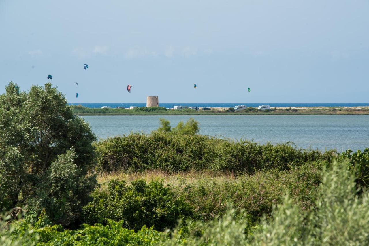 Elaia - Apartments & Studios Lefkada City Bagian luar foto