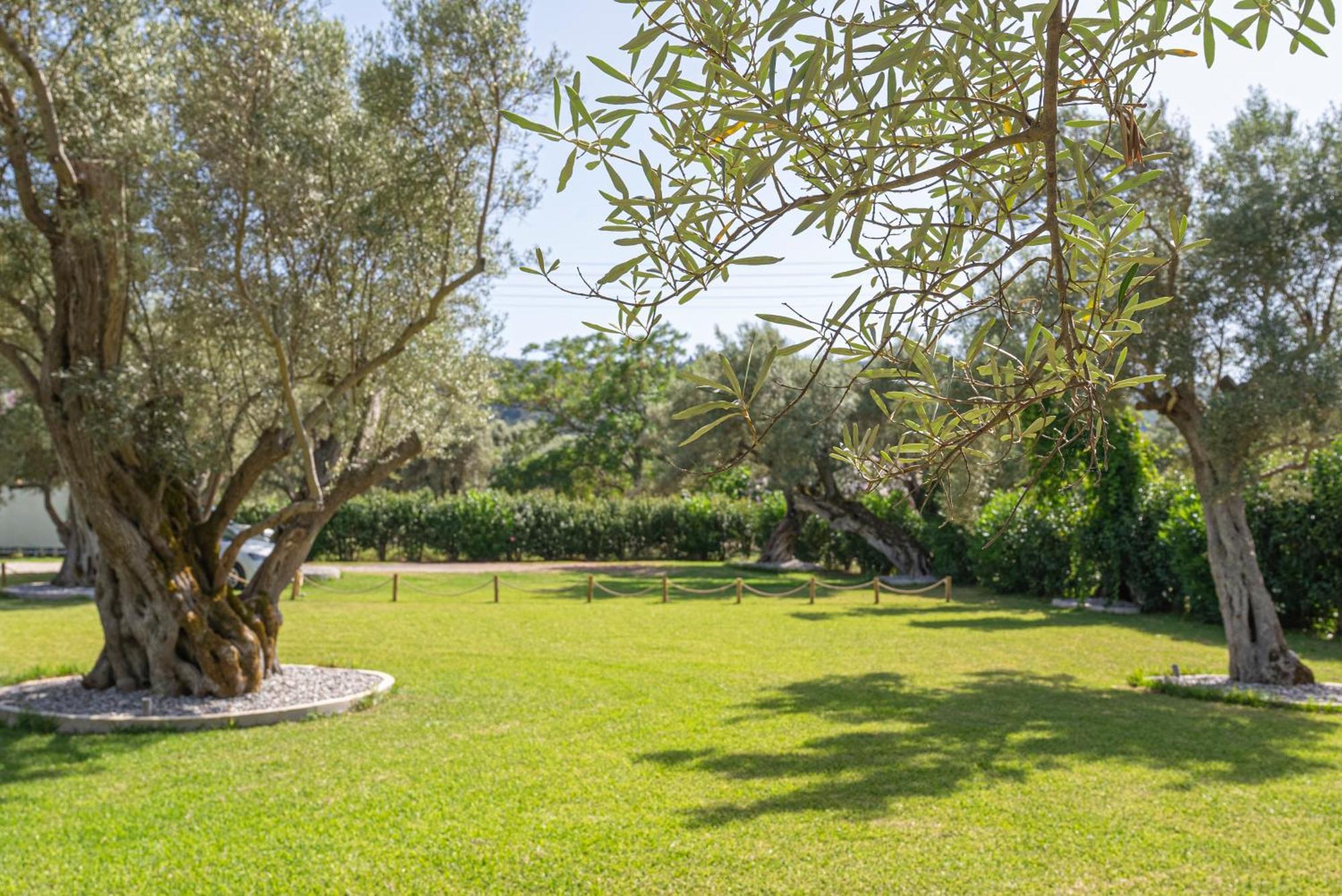 Elaia - Apartments & Studios Lefkada City Bagian luar foto