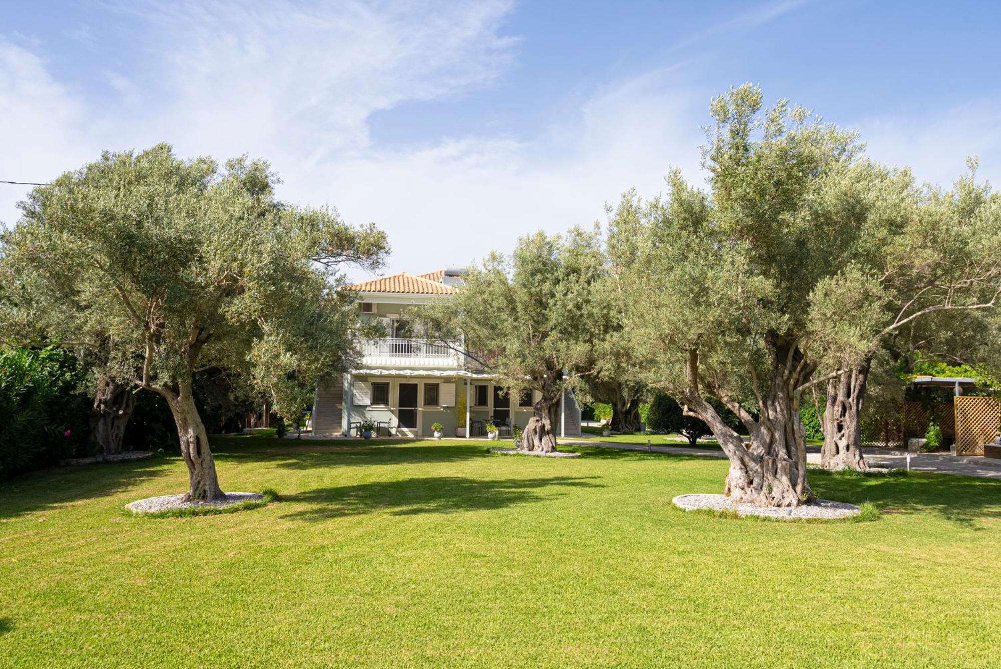 Elaia - Apartments & Studios Lefkada City Bagian luar foto
