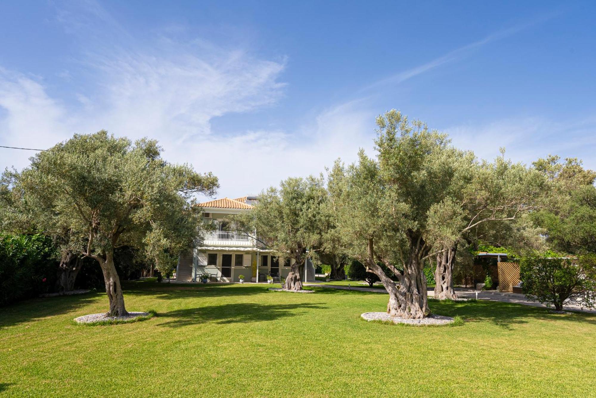 Elaia - Apartments & Studios Lefkada City Bagian luar foto