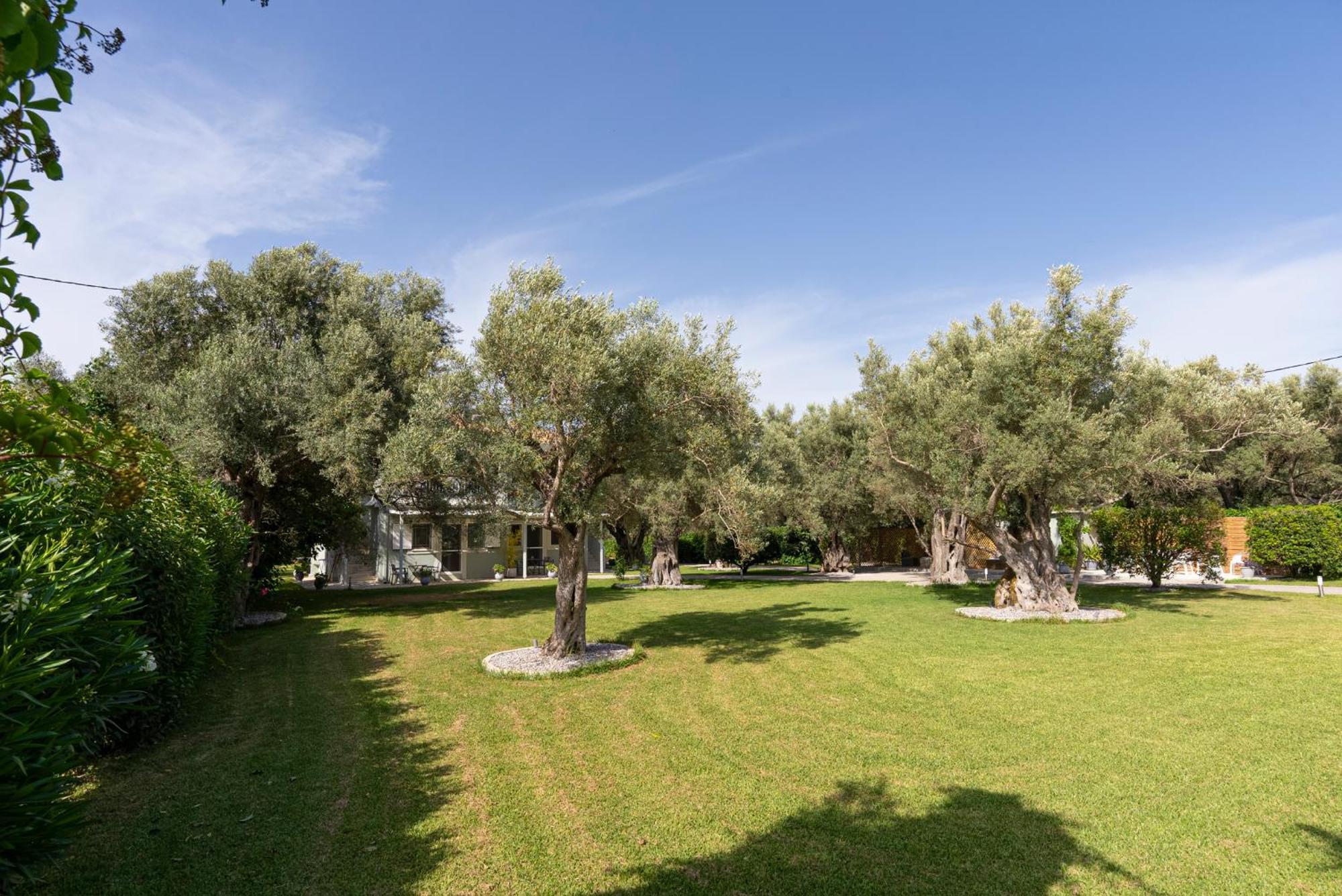 Elaia - Apartments & Studios Lefkada City Bagian luar foto