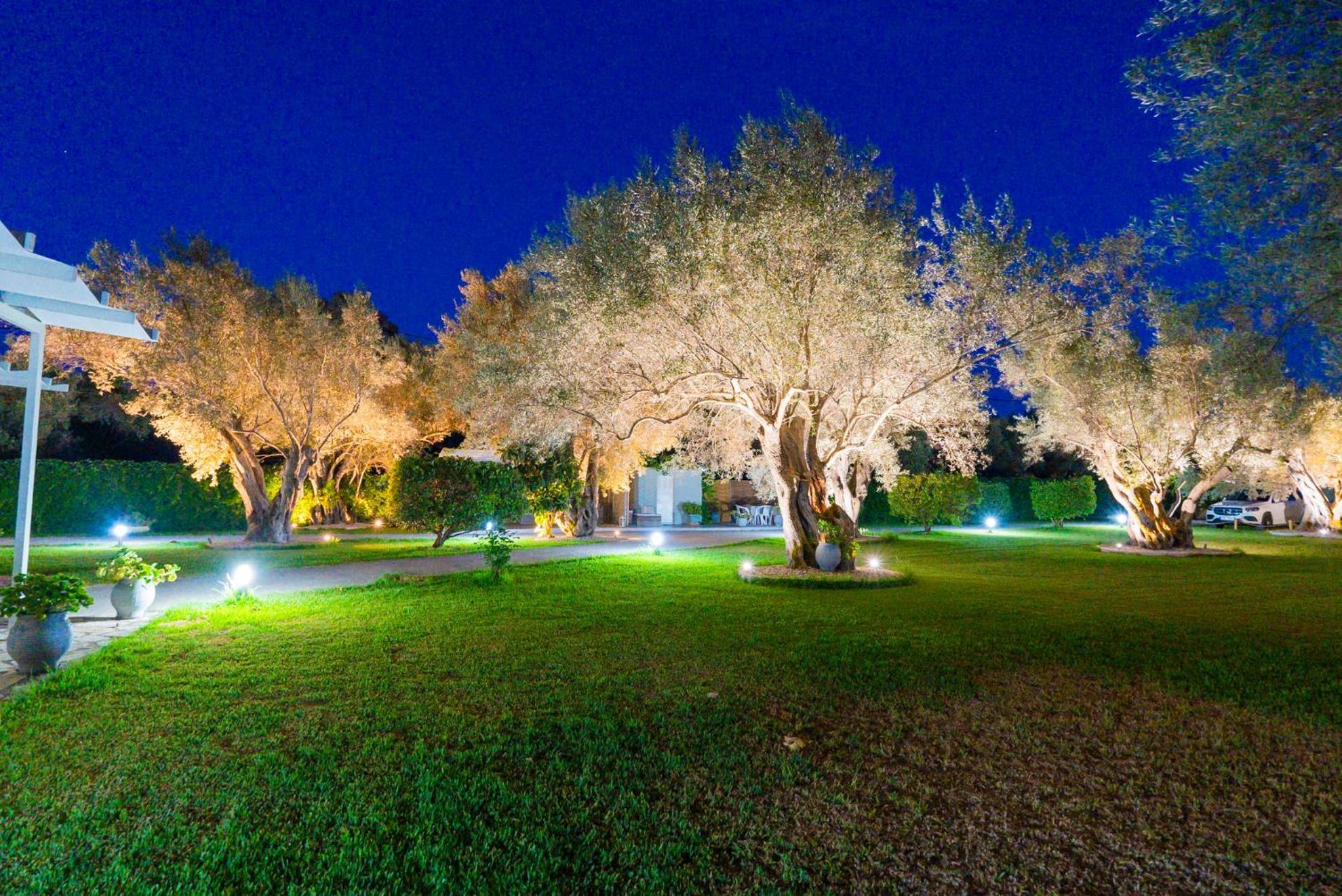 Elaia - Apartments & Studios Lefkada City Bagian luar foto